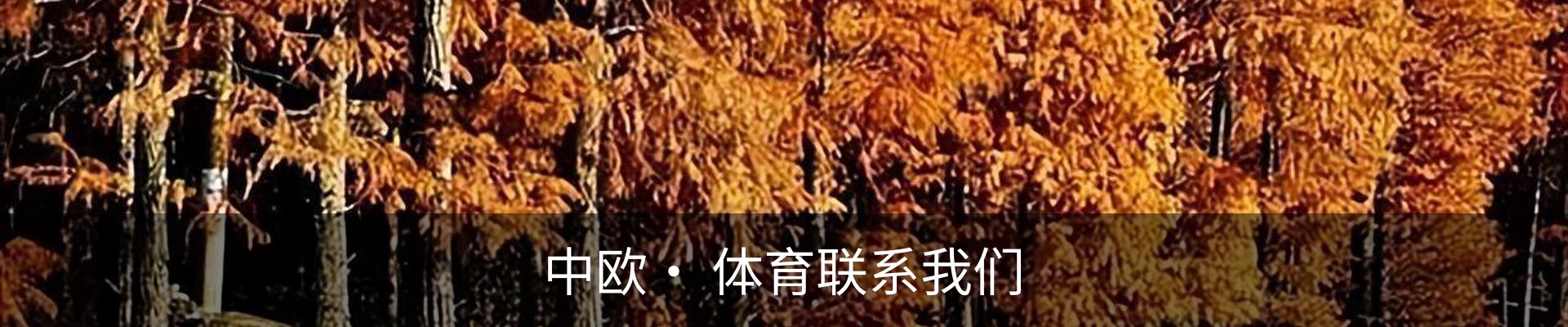 内页banner