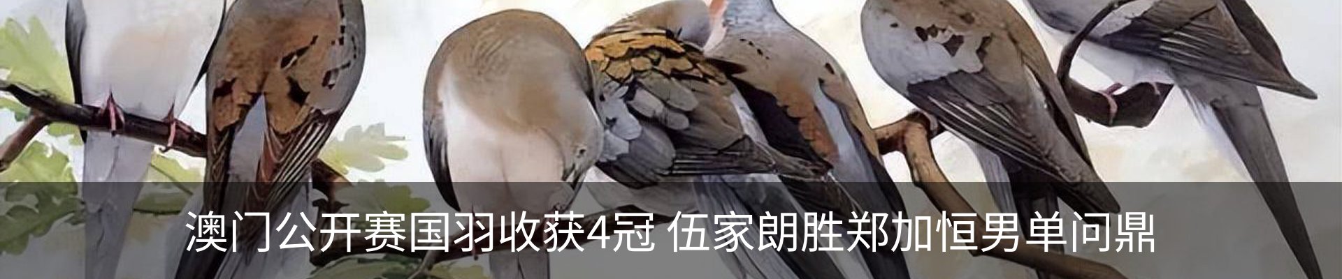 内页banner